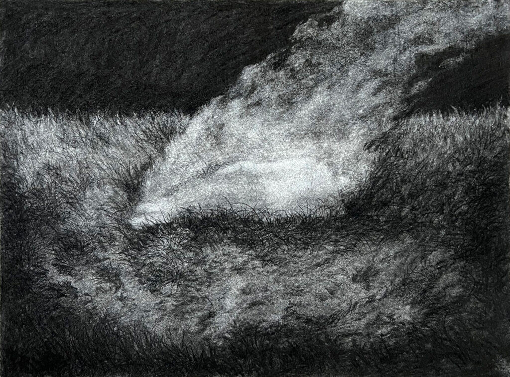 Dessins