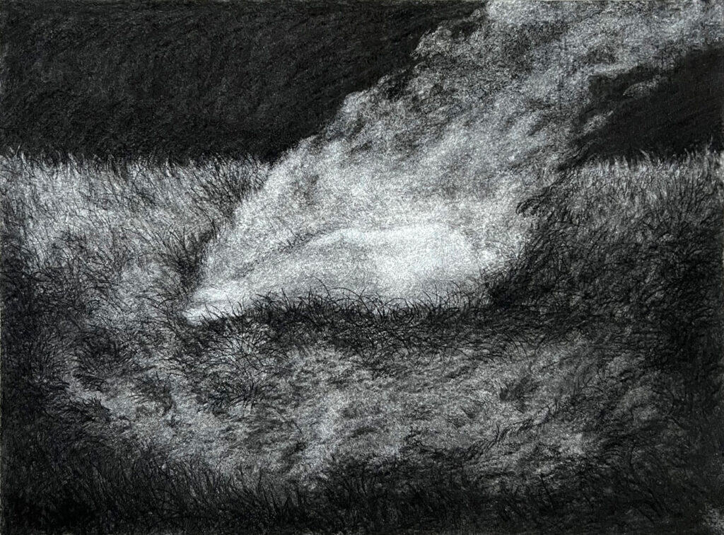 Combustion2023 23cmx31.5cm Fusin sur papier Ingre 2